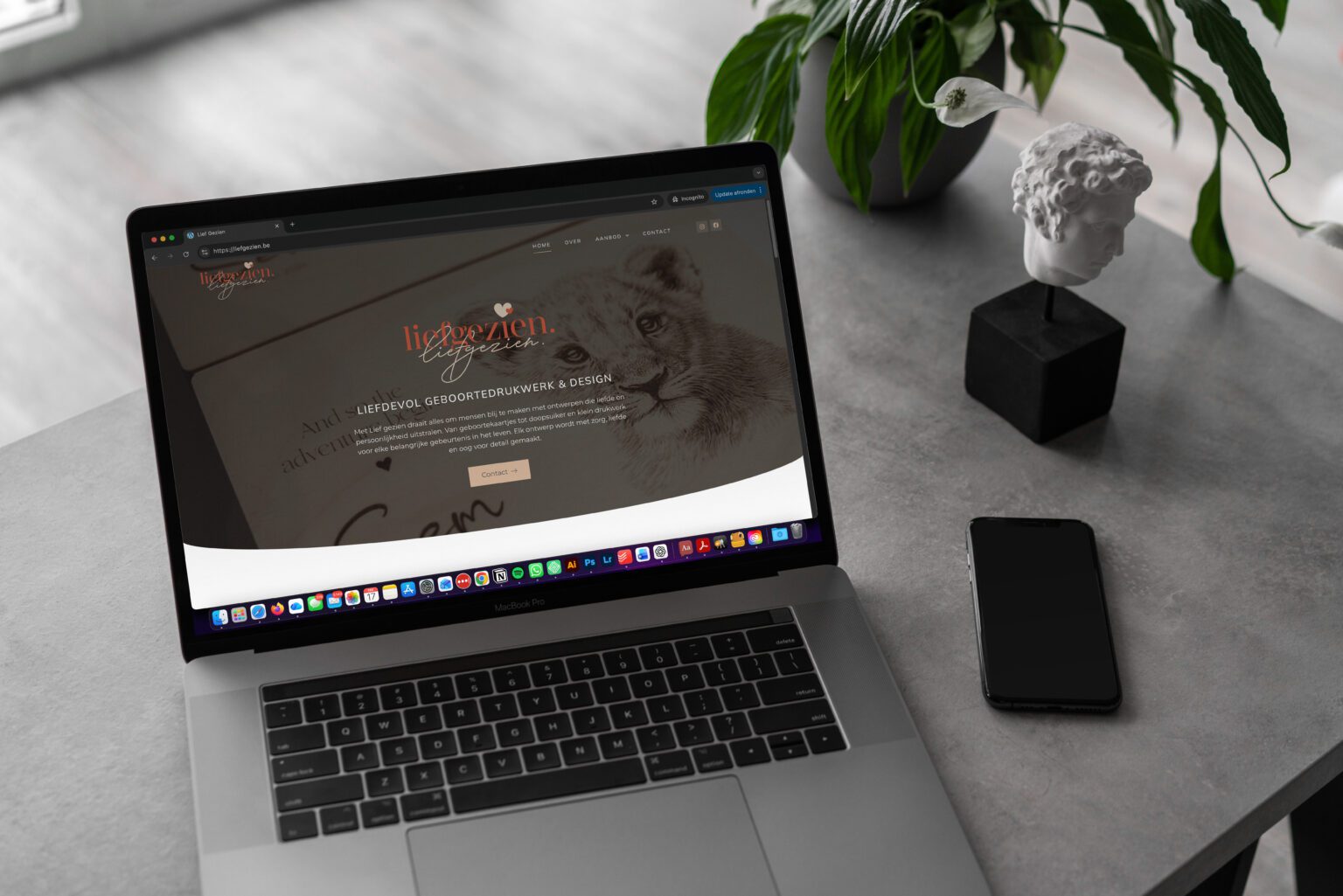 Website van Lief Gezien, ontworpen en gebouwd door Offlow